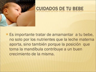 Es importante tratar de amamantar  a tu bebe, no solo por los nutrientes que la leche materna aporta, sino también porque la posición  que toma la mandíbula contribuye a un buen crecimiento de la misma. 