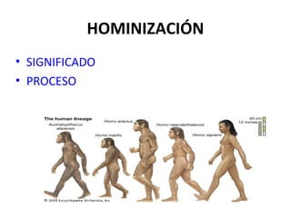 HOMINIZACIÓN
• SIGNIFICADO
• PROCESO
 