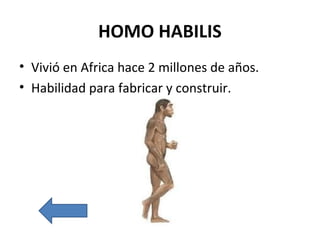 HOMO HABILIS
• Vivió en Africa hace 2 millones de años.
• Habilidad para fabricar y construir.
 