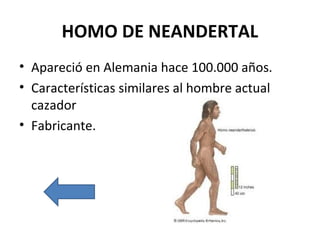HOMO DE NEANDERTAL
• Apareció en Alemania hace 100.000 años.
• Características similares al hombre actual
cazador
• Fabricante.
 