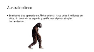 Australopiteco
• Se supone que apareció en África oriental hace unos 4 millones de
años. Su posición es erguida y podía usar algunas simples
herramientas.
 
