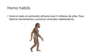 Homo habilis
• Vivió en todo el continente africano hace 2 millones de años. Para
fabricar herramientas y construir viviendas rudimentarias.
 