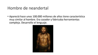 Hombre de neandertal
• Apareció hace unos 100.000 millones de años tiene característica
muy similar al hombre. Era cazador y fabricaba herramientas
compleja. Desarrollo el lenguaje.
 
