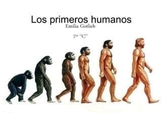 Los primeros humanos
 