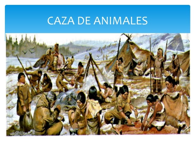 Los primeros pobladores de amèrica