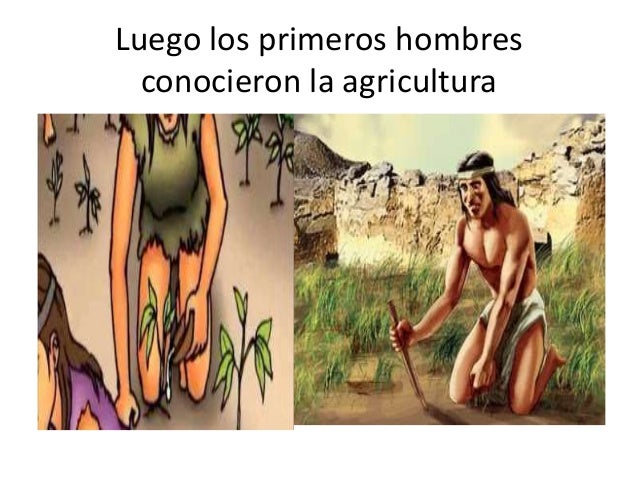 Los mejores aceites para los cabellos de sekuschihsya de las puntas