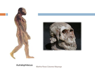 Autralophitecus
                  Martha Rosa Cáceres Mayorga
 