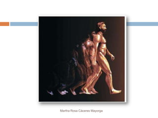 Martha Rosa Cáceres Mayorga
 