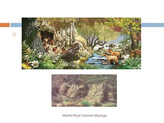 




    Martha Rosa Cáceres Mayorga
 