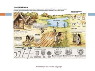 Martha Rosa Cáceres Mayorga
 