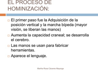 EL PROCESO DE
HOMINIZACIÓN:
   El primer paso fue la Adquisición de la
    posición vertical y la marcha bípeda (mayor
    visión, se liberan las manos)
   Aumenta la capacidad craneal; se desarrolla
    el cerebro.
   Las manos se usan para fabricar
    herramientas.
   Aparece el lenguaje.


                  Martha Rosa Cáceres Mayorga
 