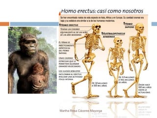 Martha Rosa Cáceres Mayorga
 