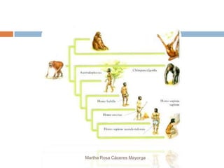 Martha Rosa Cáceres Mayorga
 