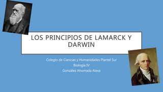 LOS PRINCIPIOS DE LAMARCK Y
DARWIN
Colegio de Ciencias y Humanidades Plantel Sur
Biología IV
González Ahumada Alexa
 