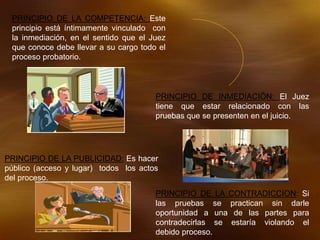 PRINCIPIO DE LA COMPETENCIA: Este
principio está íntimamente vinculado con
la inmediación, en el sentido que el Juez
que conoce debe llevar a su cargo todo el
proceso probatorio.
PRINCIPIO DE INMEDIACIÓN: El Juez
tiene que estar relacionado con las
pruebas que se presenten en el juicio.
PRINCIPIO DE LA PUBLICIDAD: Es hacer
público (acceso y lugar) todos los actos
del proceso.
PRINCIPIO DE LA CONTRADICCION: Si
las pruebas se practican sin darle
oportunidad a una de las partes para
contradecirlas se estaría violando el
debido proceso.
 