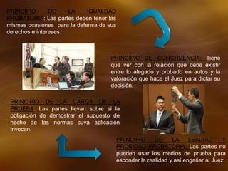PRINCIPIO DE LA IGUALDAD
PROBATORIA: Las partes deben tener las
mismas ocasiones para la defensa de sus
derechos e intereses.
PRINCIPIO DE CONGRUENCIA: Tiene
que ver con la relación que debe existir
entre lo alegado y probado en autos y la
valoración que hace el Juez para dictar su
decisión.
PRINCIPIO DE LA CARGA DE LA
PRUEBA: Las partes llevan sobre sí la
obligación de demostrar el supuesto de
hecho de las normas cuya aplicación
invocan.
PRINCIPIO DE LA LEALTAD Y
PROBIDAD PROBATORIA: Las partes no
pueden usar los medios de prueba para
esconder la realidad y así engañar al Juez.
 