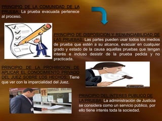 PRINCIPIO DE LA COMUNIDAD DE LA
PRUEBA: La prueba evacuada pertenece
al proceso.
PRINCIPIO DE DISPOSICION Y RENUNCIABILIDAD DE
LAS PRUEBAS: Las partes pueden usar todos los medios
de prueba que estén a su alcance, evacuar en cualquier
grado y estado de la causa aquellas pruebas que tengan
interés e incluso desistir de la prueba pedida y no
practicada.
PRINCIPIO DE LA PROHIBICION DE
APLICAR EL CONOCIMIENTO PRIVADO
DEL JUEZ SOBRE LOS HECHOS: Tiene
que ver con la imparcialidad del Juez.
PRINCIPIO DEL INTERES PUBLICO DE
LA PRUEBA: La administración de Justicia
se considera como un servicio público, por
ello tiene interés toda la sociedad.
 