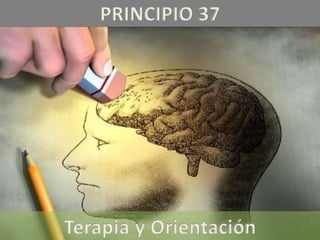 PRINCIPIO 37
Terapia y Orientación
 