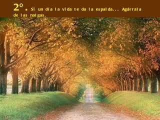 2º. Si un día la vida te da la espalda... Agárrala de las nalgas. 