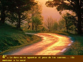 4º. Lo duro no es aguantar el peso de los cuernos... ¡Es mantener a la vaca! 