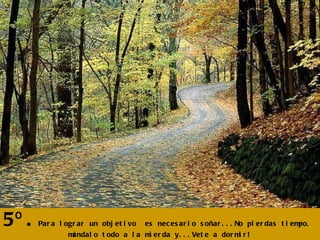 5º. Para lograr un objetivo  es necesario soñar...No pierdas tiempo, mándalo todo a la mierda y...Vete a dormir! 