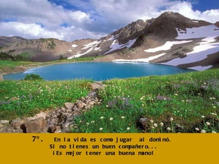 7º.  En la vida es como jugar  al dominó,  Si no tienes un buen compañero... ¡Es mejor tener una buena mano! 