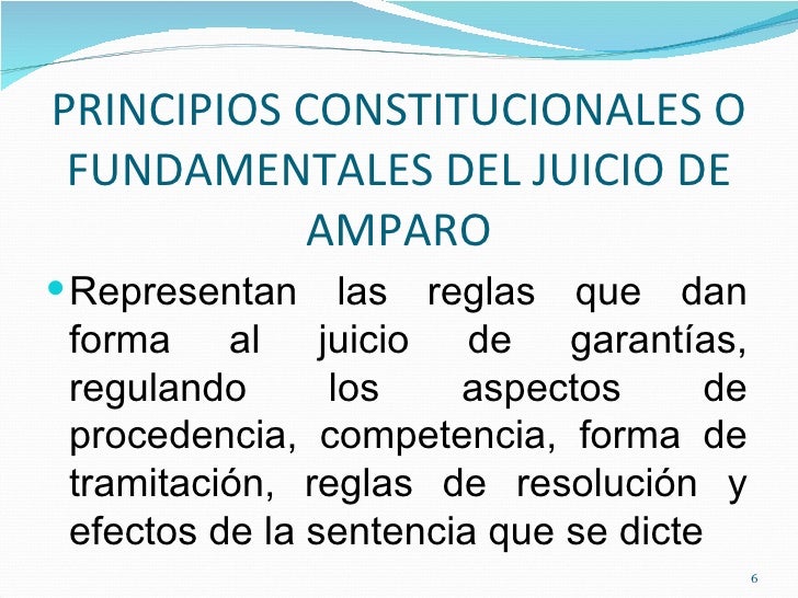 Principios Constitucionales Del Juicio De Amparo