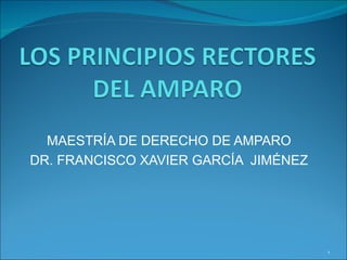 MAESTRÍA DE DERECHO DE AMPARO
DR. FRANCISCO XAVIER GARCÍA JIMÉNEZ




                                      1
 