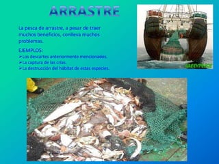 La pesca de arrastre, a pesar de traer
muchos beneficios, conlleva muchos
problemas.
EJEMPLOS:
Los descartes anteriormente mencionados.
La captura de las crías.
La destrucción del hábitat de estas especies.
 