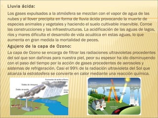  Lluvia ácida:
Los gases expulsados a la atmósfera se mezclan con el vapor de agua de las
nubes y al llover precipita en forma de lluvia ácida provocando la muerte de
especies animales y vegetales y haciendo el suelo cultivable inservible. Corroe
las construcciones y las infraestructuras. La acidificación de las aguas de lagos,
ríos y mares dificulta el desarrollo de vida acuática en estas aguas, lo que
aumenta en gran medida la mortalidad de peces.
 Agujero de la capa de Ozono:
La capa de Ozono se encarga de filtrar las radiaciones ultravioletas procedentes
del sol que son dañinas para nuestra piel, peor su espesor ha ido disminuyendo
con el paso del tiempo por la acción de gases procedentes de aerosoles y
sistemas de refrigeración. Casi el 99% de la radiación ultravioleta del Sol que
alcanza la estratosfera se convierte en calor mediante una reacción química.
 