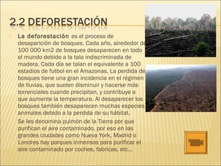  La deforestación es el proceso de
desaparición de bosques. Cada año, alrededor de
100 000 km2 de bosques desaparecen en todo
el mundo debido a la tala indiscriminada de
madera. Cada día se talan el equivalente a 100
estadios de futbol en el Amazonas. La perdida de
bosques tiene una gran incidencia en el régimen
de lluvias, que suelen disminuir y hacerse más
torrenciales cuando precipitan, y contribuye a
que aumente la temperatura. Al desaparecer los
bosques también desaparecen muchas especies
animales debido a la perdida de su hábitat.
Se les denomina pulmón de la Tierra por que
purifican el aire contaminado, por eso en las
grandes ciudades como Nueva York, Madrid o
Londres hay parques inmensos para purificar el
aire contaminado por coches, fabricas, etc…
 