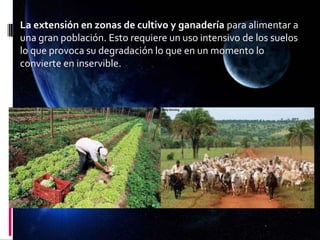 La extensión en zonas de cultivo y ganadería para alimentar a
una gran población. Esto requiere un uso intensivo de los suelos
lo que provoca su degradación lo que en un momento lo
convierte en inservible.
 