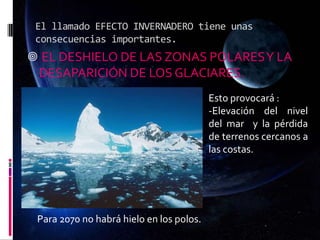 El llamado EFECTO INVERNADERO tiene unas
consecuencias importantes.
 EL DESHIELO DE LAS ZONAS POLARESY LA
DESAPARICIÓN DE LOS GLACIARES.
Esto provocará :
-Elevación del nivel
del mar y la pérdida
de terrenos cercanos a
las costas.
Para 2070 no habrá hielo en los polos.
 