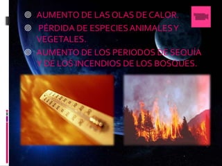  AUMENTO DE LAS OLAS DE CALOR.
 PÉRDIDA DE ESPECIESANIMALESY
VEGETALES.
 AUMENTO DE LOS PERIODOS DE SEQUÍA
Y DE LOS INCENDIOS DE LOS BOSQUES.
 