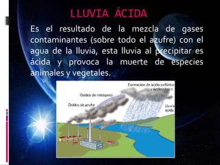 LLUVIA ÁCIDA
Es el resultado de la mezcla de gases
contaminantes (sobre todo el azufre) con el
agua de la lluvia, esta lluvia al precipitar es
ácida y provoca la muerte de especies
animales y vegetales.
 
