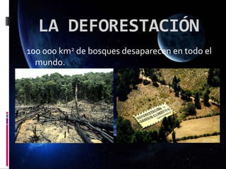 LA DEFORESTACIÓN
100 000 km2 de bosques desaparecen en todo el
mundo.
 