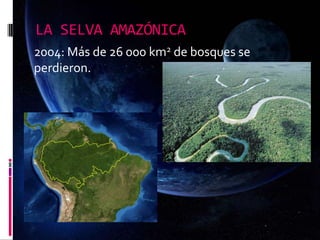 LA SELVA AMAZÓNICA
2004: Más de 26 000 km2 de bosques se
perdieron.
 
