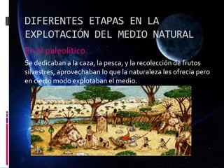 DIFERENTES ETAPAS EN LA
EXPLOTACIÓN DEL MEDIO NATURAL
En el paleolítico.
Se dedicaban a la caza, la pesca, y la recolección de frutos
silvestres, aprovechaban lo que la naturaleza les ofrecía pero
en cierto modo explotaban el medio.
 