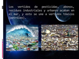 Los vertidos de pesticidas, abonos,
residuos industriales y urbanos acaban en
el mar, y esto se une a vertidos tóxicos
(petróleo).
 