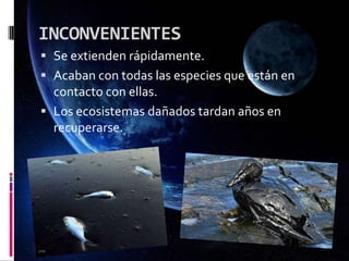 INCONVENIENTES
 Se extienden rápidamente.
 Acaban con todas las especies que están en
contacto con ellas.
 Los ecosistemas dañados tardan años en
recuperarse.
 