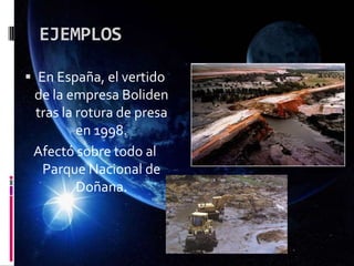EJEMPLOS
 En España, el vertido
de la empresa Boliden
tras la rotura de presa
en 1998.
Afectó sobre todo al
Parque Nacional de
Doñana.
 