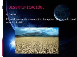 DESERTIFICACIÓN.
 Causa:
Especialmente en la zona mediterránea por el calor causado con el
cambio climático
 