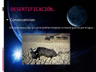 DESERTIFICACIÓN.
 Consecuencias:
Una gran sequia por la cual se podrían empezar a crearse guerras por el agua…
 