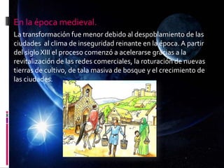 En la época medieval.
La transformación fue menor debido al despoblamiento de las
ciudades al clima de inseguridad reinante en la época. A partir
del siglo XIII el proceso comenzó a acelerarse gracias a la
revitalización de las redes comerciales, la roturación de nuevas
tierras de cultivo, de tala masiva de bosque y el crecimiento de
las ciudades.
 