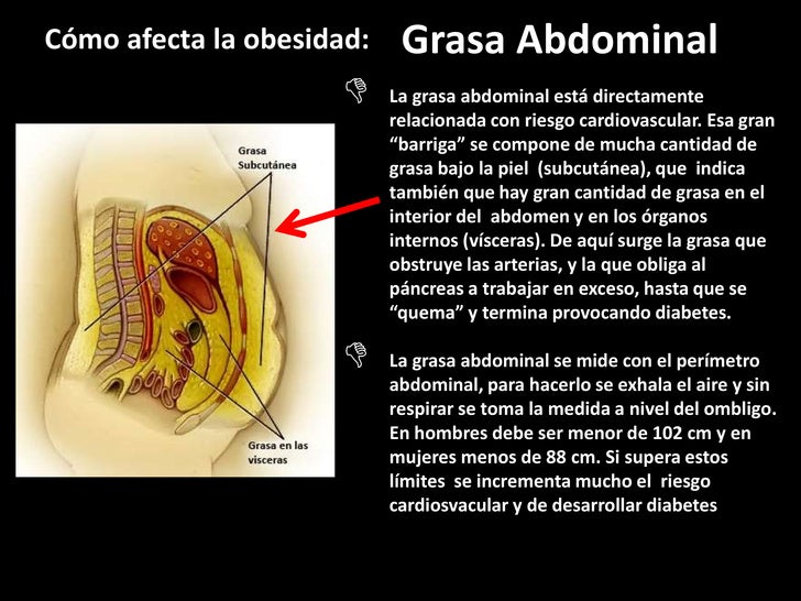 Las pastillas con spirulinoy para el adelgazamiento