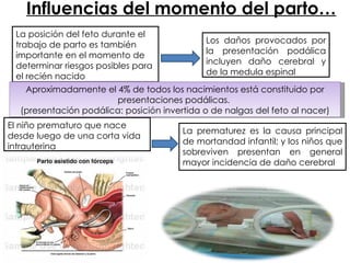 Influencias del momento del parto… La posición del feto durante el trabajo de parto es también importante en el momento de determinar riesgos posibles para el recién nacido Los daños provocados por la presentación podálica incluyen daño cerebral y de la medula espinal Aproximadamente el 4% de todos los nacimientos está constituido por presentaciones podálicas.  (presentación podálica: posición invertida o de nalgas del feto al nacer) El niño prematuro que nace desde luego de una corta vida intrauterina La prematurez es la causa principal de mortandad infantil; y los niños que sobreviven presentan en general mayor incidencia de daño cerebral 