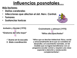Influencias posnatales… Más factores: Daños cerebrales Infecciones que afectan el sist. Nerv. Central. Tumores Sustancias toxicas _____________________________________________________________ Arnheim y Sinclair (1975) *Síndrome del niño torpe * Bueno en la escuela X  Mala coordinación  Cruickshank y Johnson (1975) *Niños discapacitados * “ Niños que se desvían intelectual, física, social y emocionalmente de lo que se considera el desarrollo y el crecimiento normales, en tal medida que no logran beneficiarse con un programa escolar común y requiere una clase especial o atención y reeducación complementarias”. 