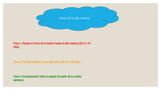 Fases de la alta medica
Fase 1. Desde el inicio de la lesión hasta el alta médica (De 0 a 14
días)
Fase 2. Del alta médica al alta deportiva (De 15 a 28 días)
Fase 3. Incorporación total al equipo (A partir de la cuarta
semana)
 