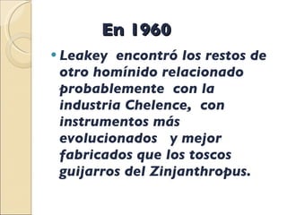 En 1960 Leakey  encontró los restos de otro homínido relacionado probablemente  con la industria Chelence,  con instrumentos más evolucionados  y mejor fabricados que los toscos  guijarros del Zinjanthropus.   