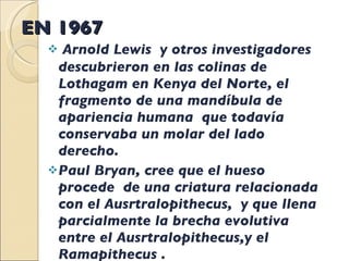 EN 1967 Arnold Lewis  y otros investigadores  descubrieron en las colinas de Lothagam en Kenya del Norte, el fragmento de una mandíbula de apariencia humana  que todavía conservaba un molar del lado derecho. Paul Bryan, cree que el hueso procede  de una criatura relacionada  con el Ausrtralopithecus,  y que llena parcialmente la brecha evolutiva entre el Ausrtralopithecus,y el Ramapithecus .  